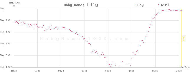 Baby Name Rankings of Lily